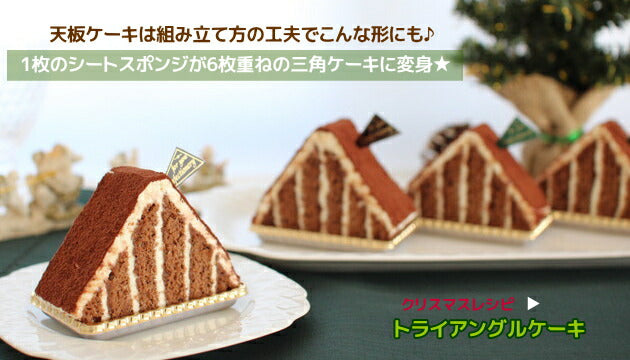 ロールケーキ天板 アルタイト10取 255X295XH20mm ケーキ天板/オーブン天板/ベイキング天板/ロールケーキ型