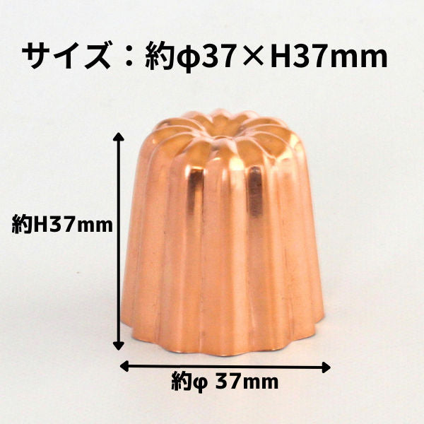 \ 新発売 / 銅 カヌレ型 プチ 浅井商店オリジナル ひとくちミニサイズ 約φ37×H37mm